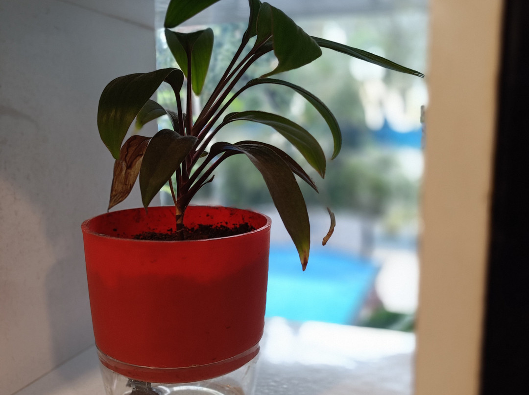 Mayur Retreat & Spa主图