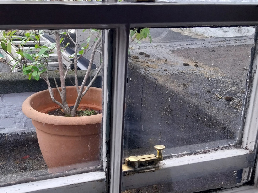 Old Court Hotel主图