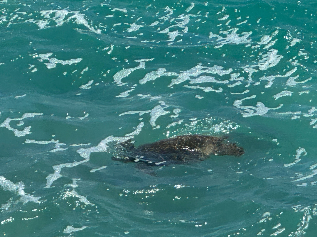 Maha'ulepu Heritage Trail-坡伊普必去景点