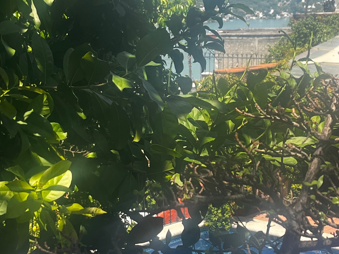 La Casa del Guamuchil主图