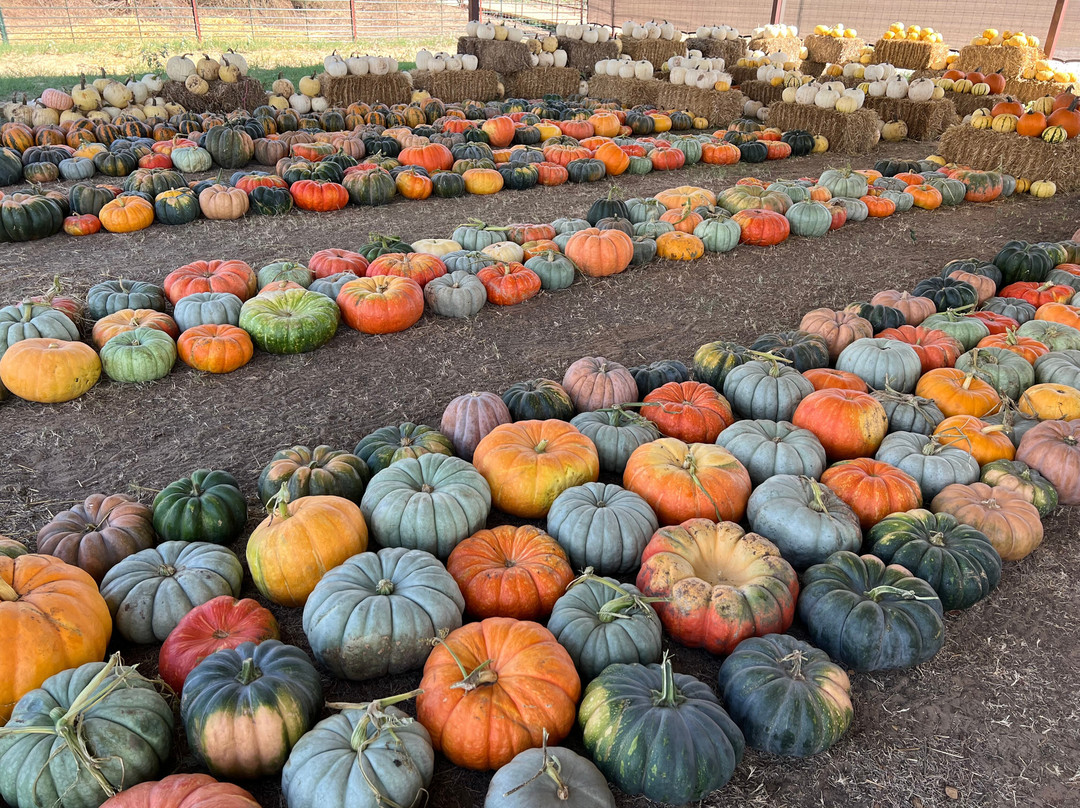 Denton Valley Farms-Clyde必去景点