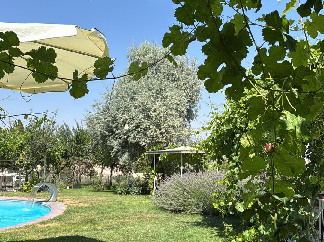Karlik Evi Boutique Hotel主图