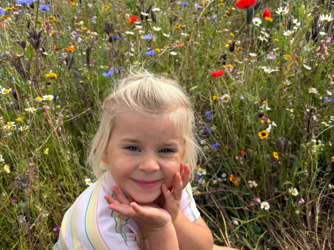 The Flower Belt-赫尔姆斯利必去景点