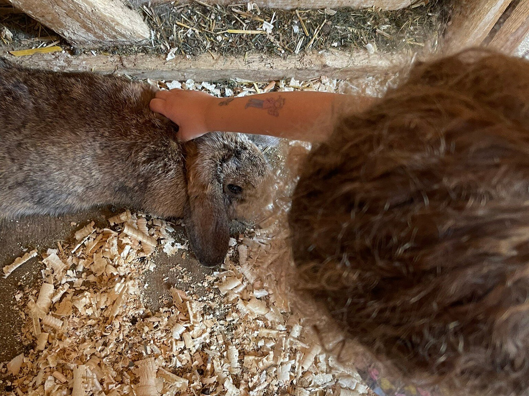 Gasthof Seeblick主图