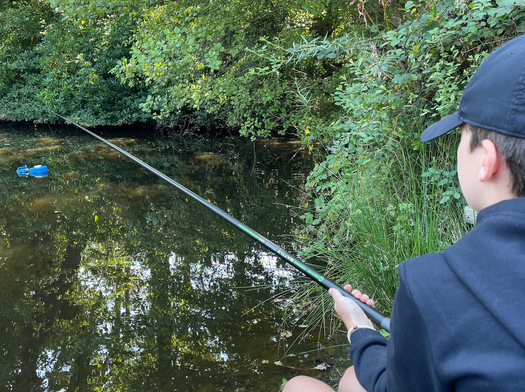 Eisteddfa Fishery-Criccieth必去景点