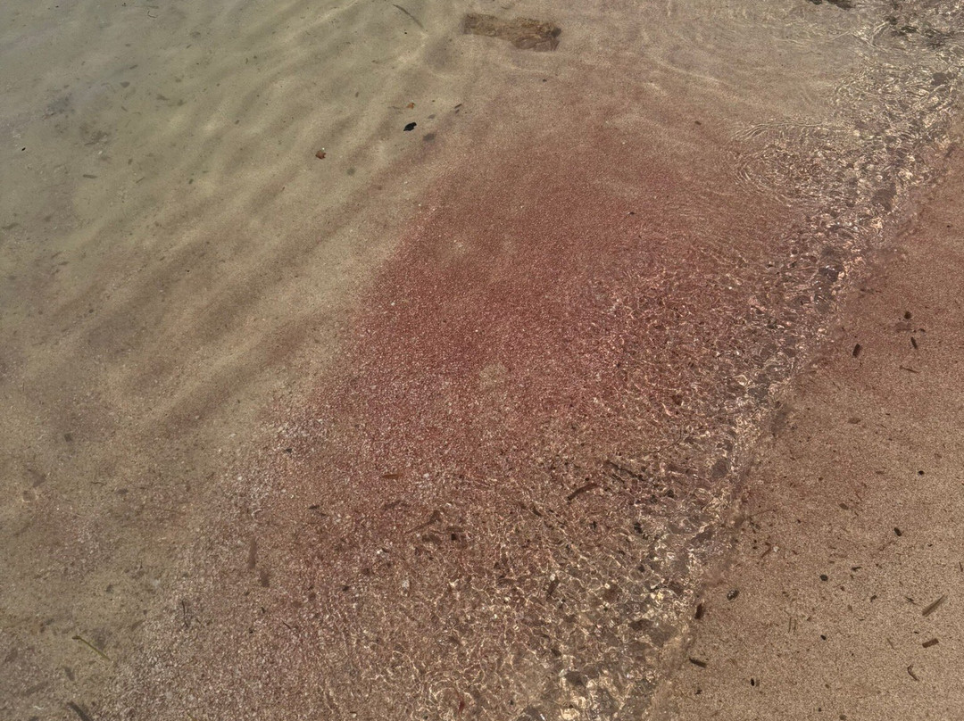 Tiny Beach Pink Sand-Limeniskos必去景点