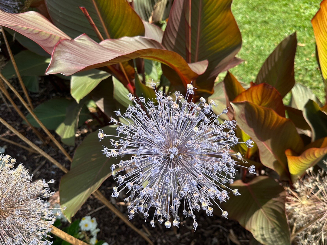 Bellaire Motel主图