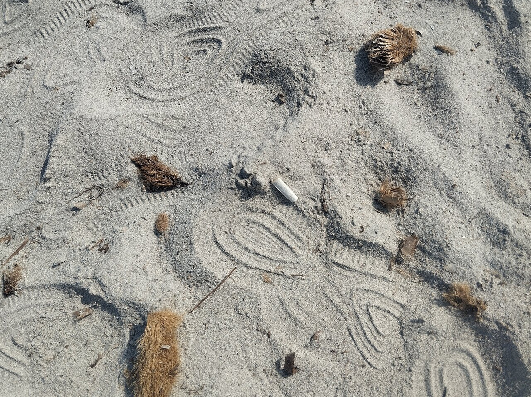 Spiaggia di Lu Impostu-San Teodoro必去景点