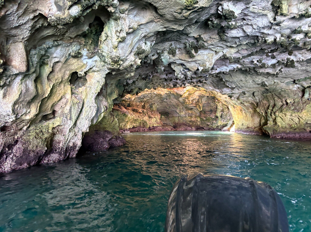 Dorino Gite in Barca-波利尼亚诺阿马雷必去景点