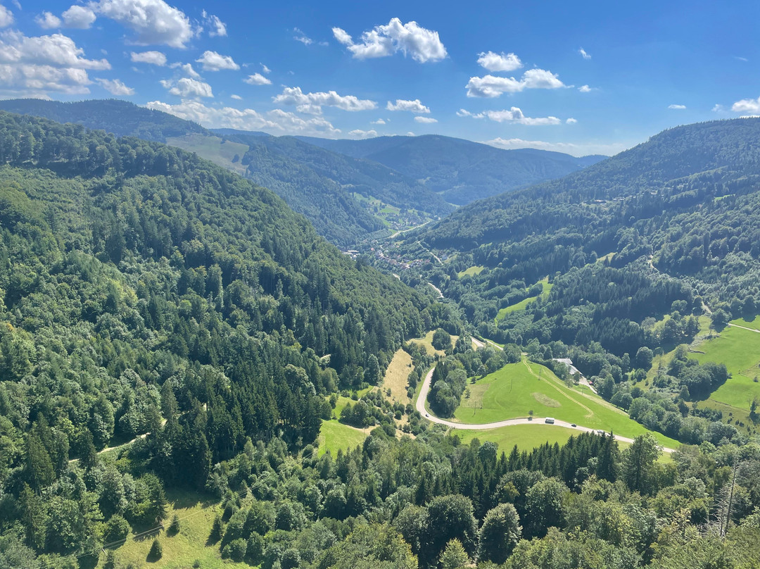 Blackforestline Hangebrucke-托特瑙必去景点