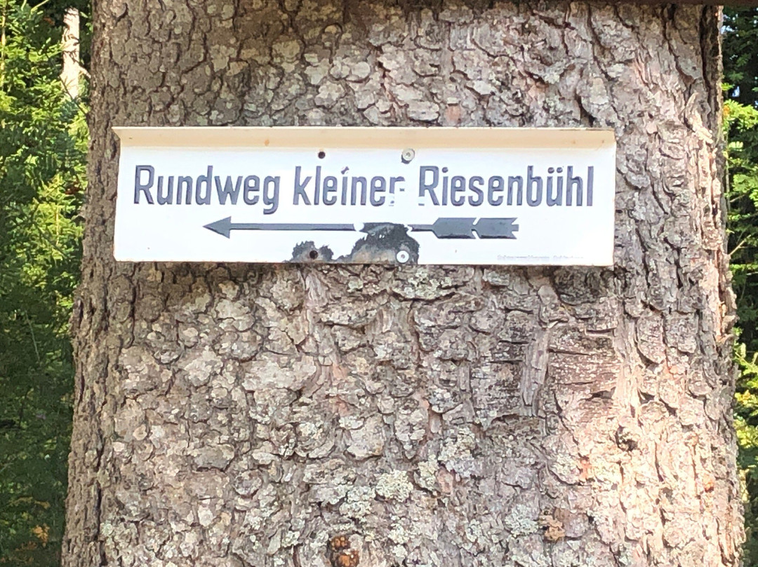 Riesenbühlturm in Schluchsee-施卢赫湖必去景点