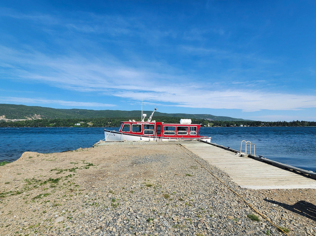 Bird Island Boat Tour-Big Bras d'Or必去景点
