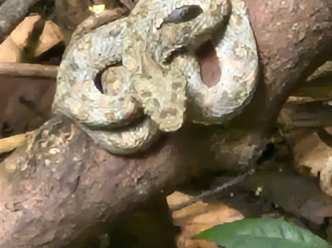 506 Expeditions-阿拉辉拉必去景点