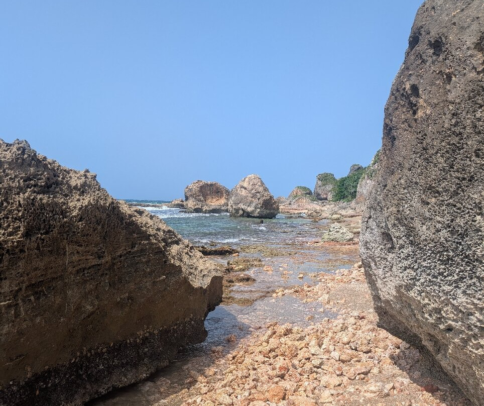 Survival Beach-Aguadilla必去景点