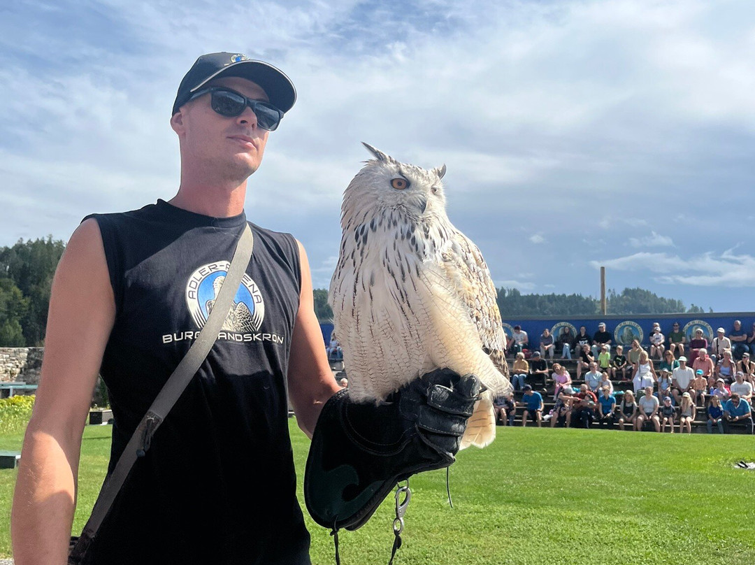 Landskron Castle-Landskron必去景点