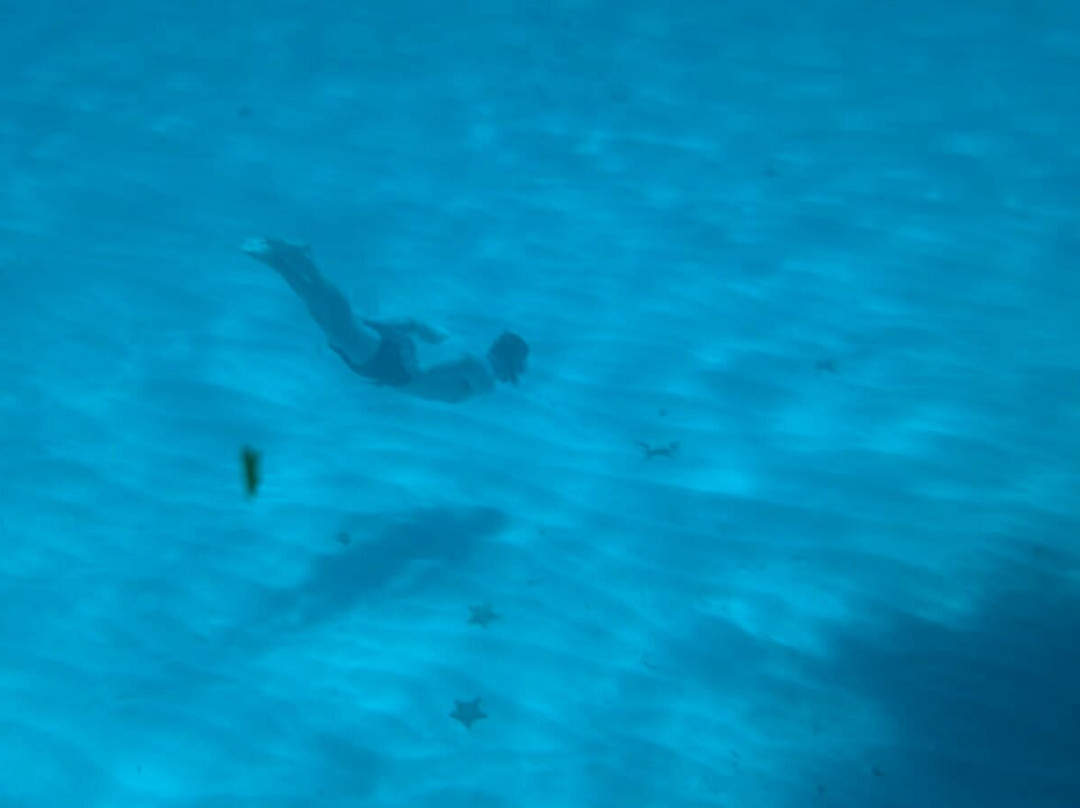 Isla Catalina-拉罗马纳必去景点