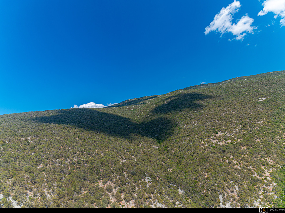 Paragliding Fun-德尔斐必去景点