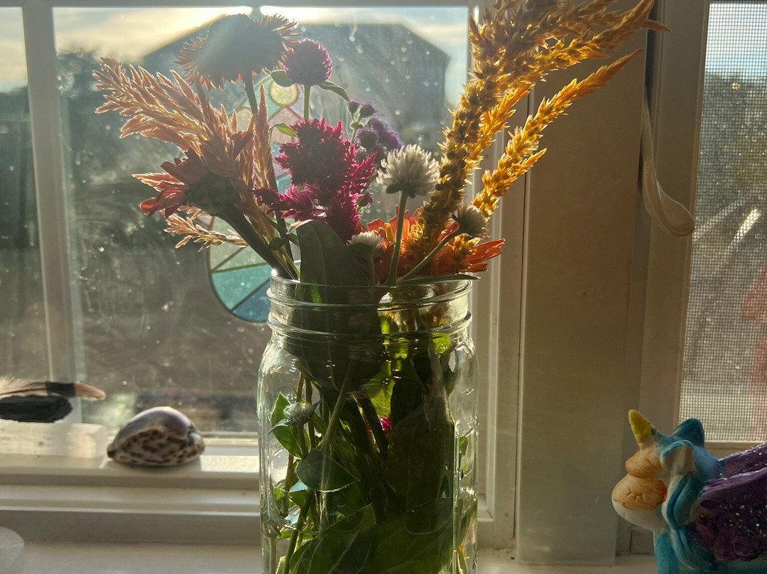 Ort Farms-Long Valley必去景点