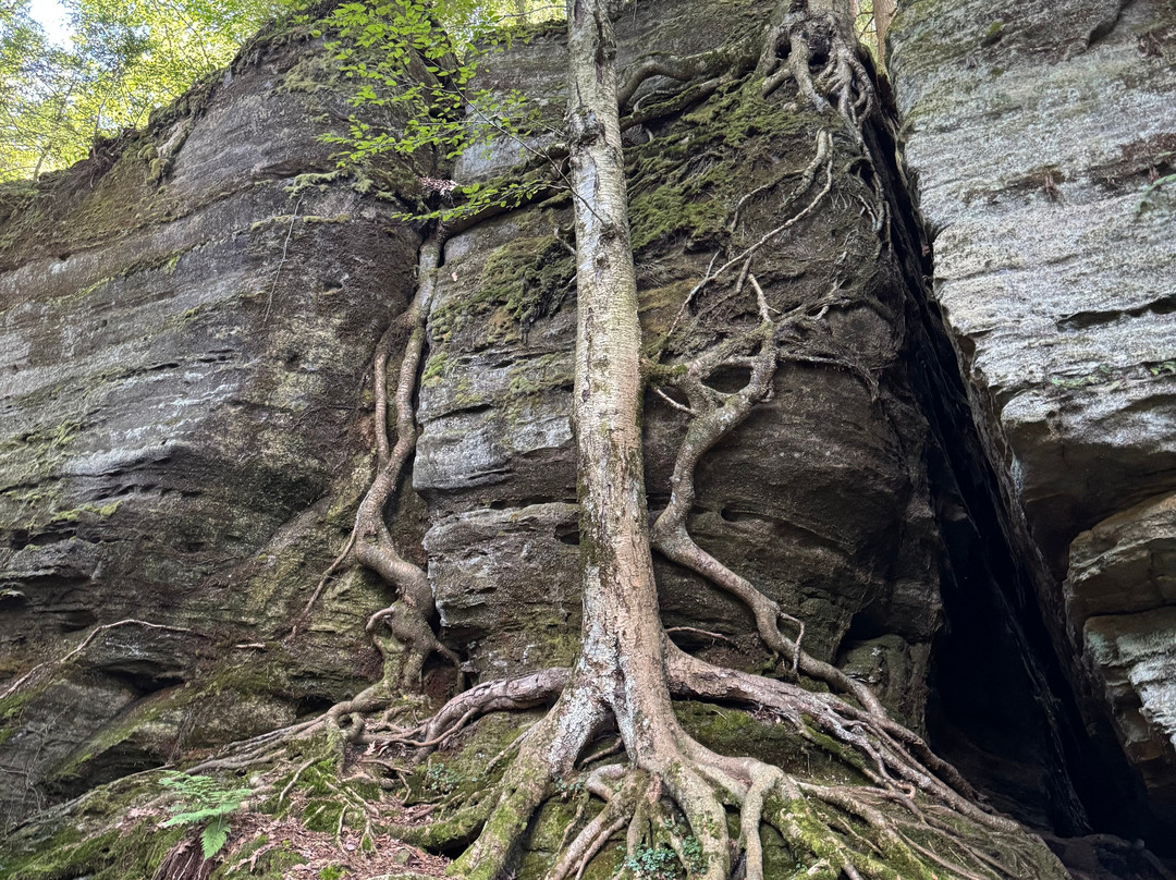 Panama Rocks Scenic Park-Panama必去景点