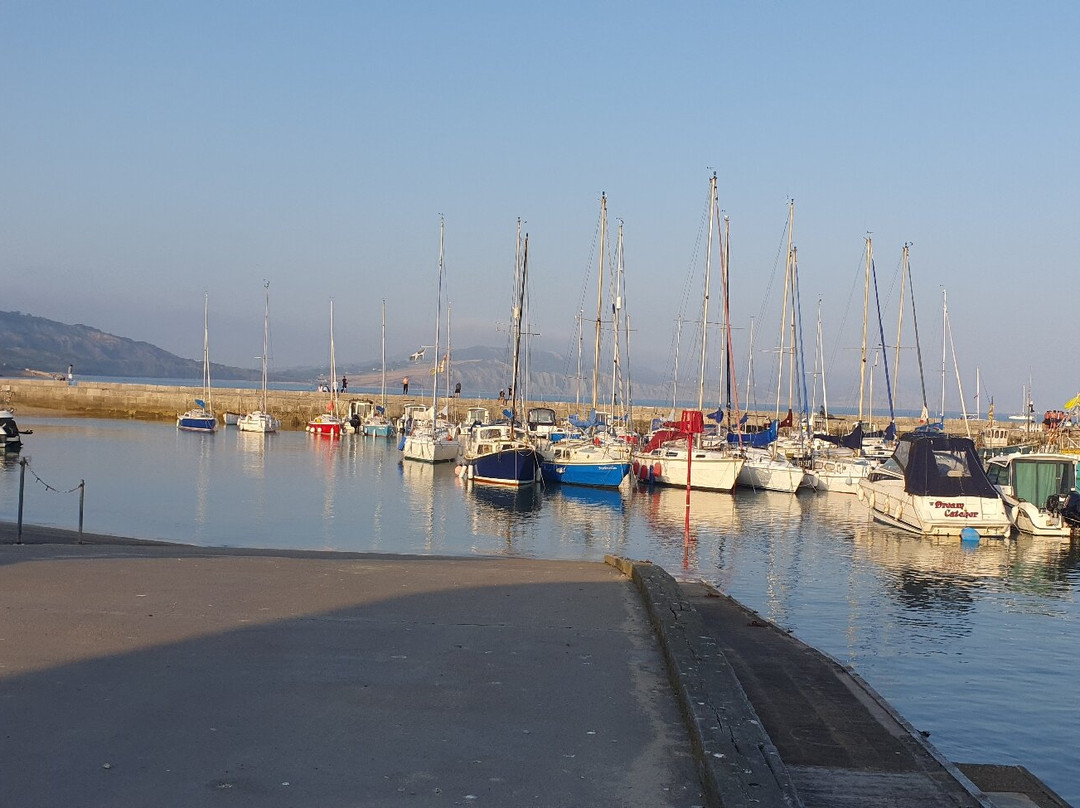 Lyme Regis Beach-莱姆里杰斯必去景点