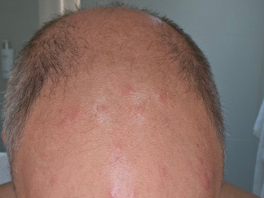 根特展会假日酒店主图