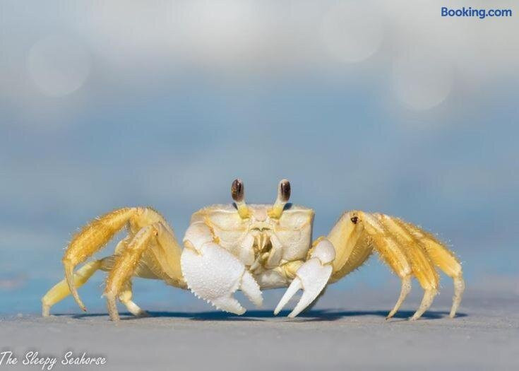Guaruçá Pousada Apart Hotel