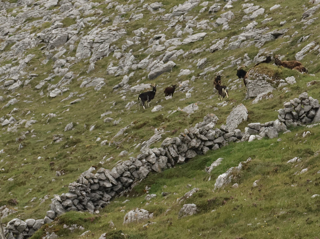Burren Mountain Tours-Fanore必去景点