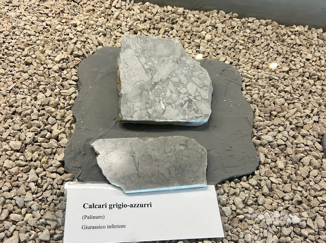 Museo Paleontologico-Magliano Vetere必去景点