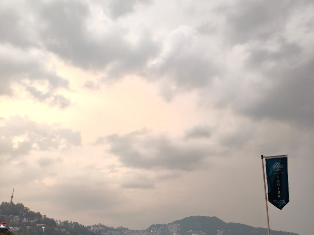 8fold  By Larisa, Shimla主图