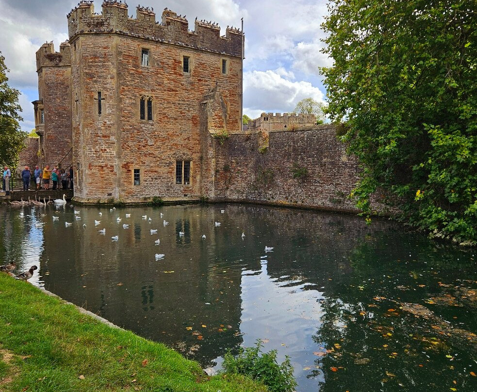 Wells Artisan Quarter-韦尔斯必去景点