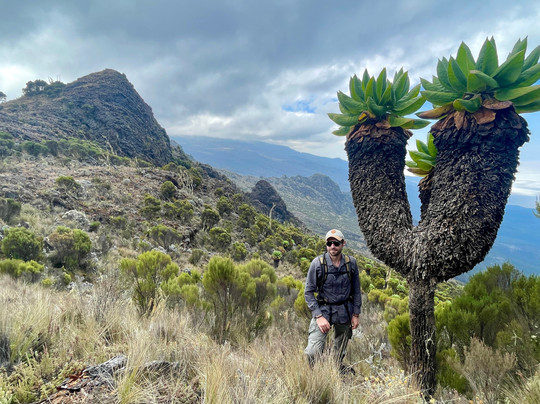 Promise Kilimanjaro & Safaris (PK Safaris)-莫西必去景点