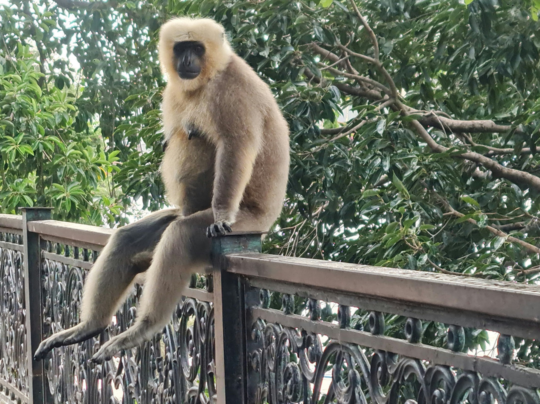 Travel India with Himmat-新德里必去景点