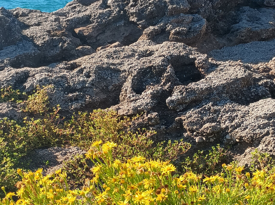 Blue Marlin Residence主图