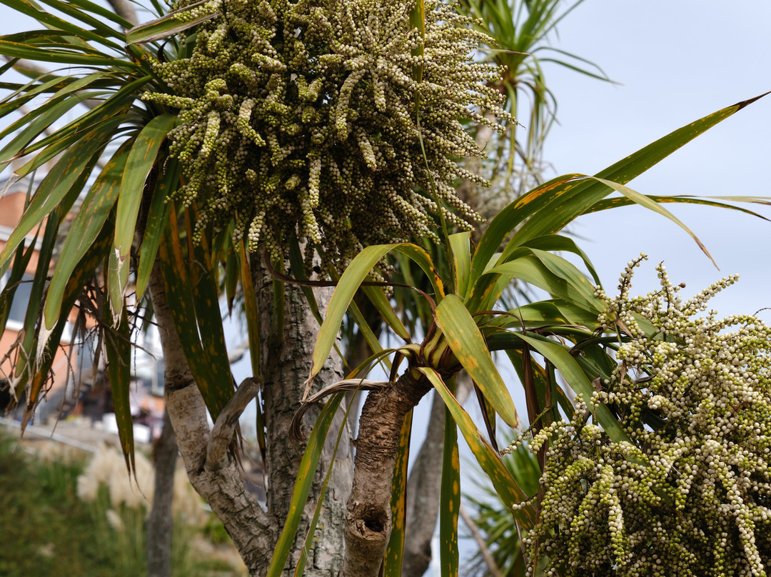 Gorey Harbour-St. Martin必去景点