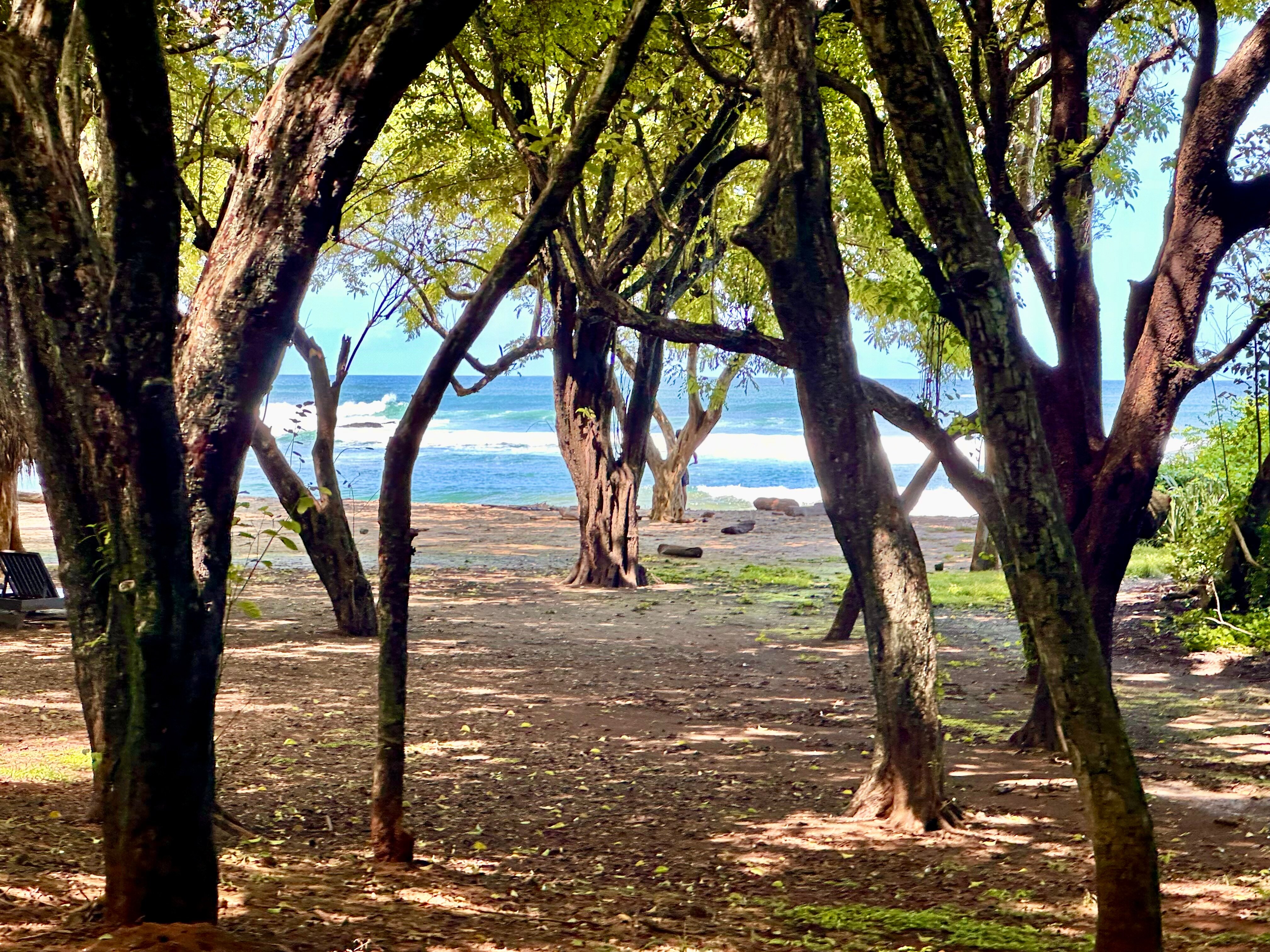 瓜纳卡斯特 JW 万豪度假酒店及水疗中心-浴室