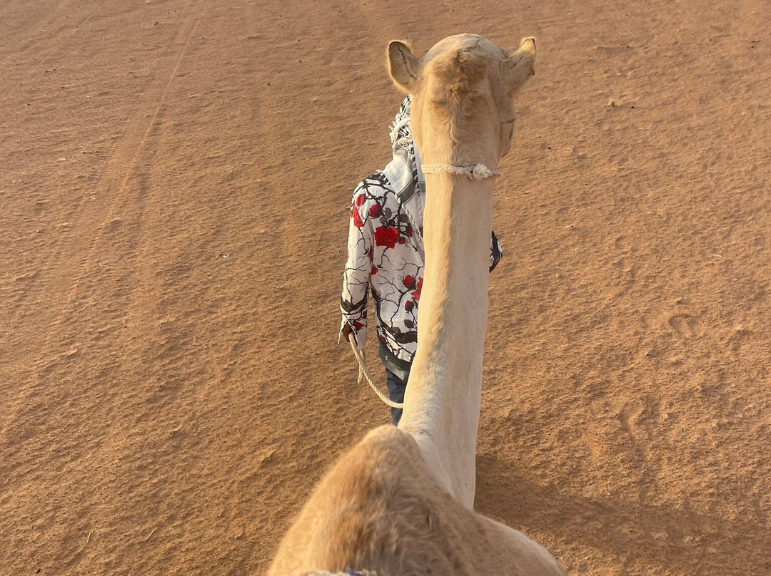 Blue Skies of Oman-马斯喀特必去景点