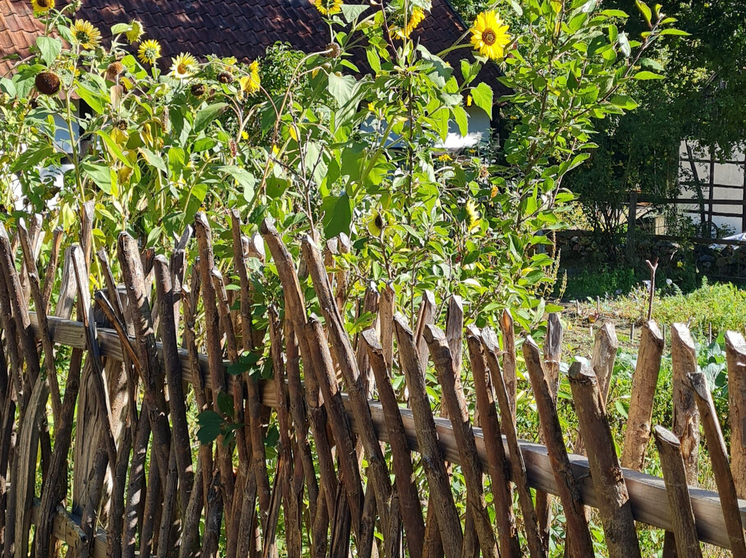 Freilichtmuseum Diesdorf-Diesdorf必去景点