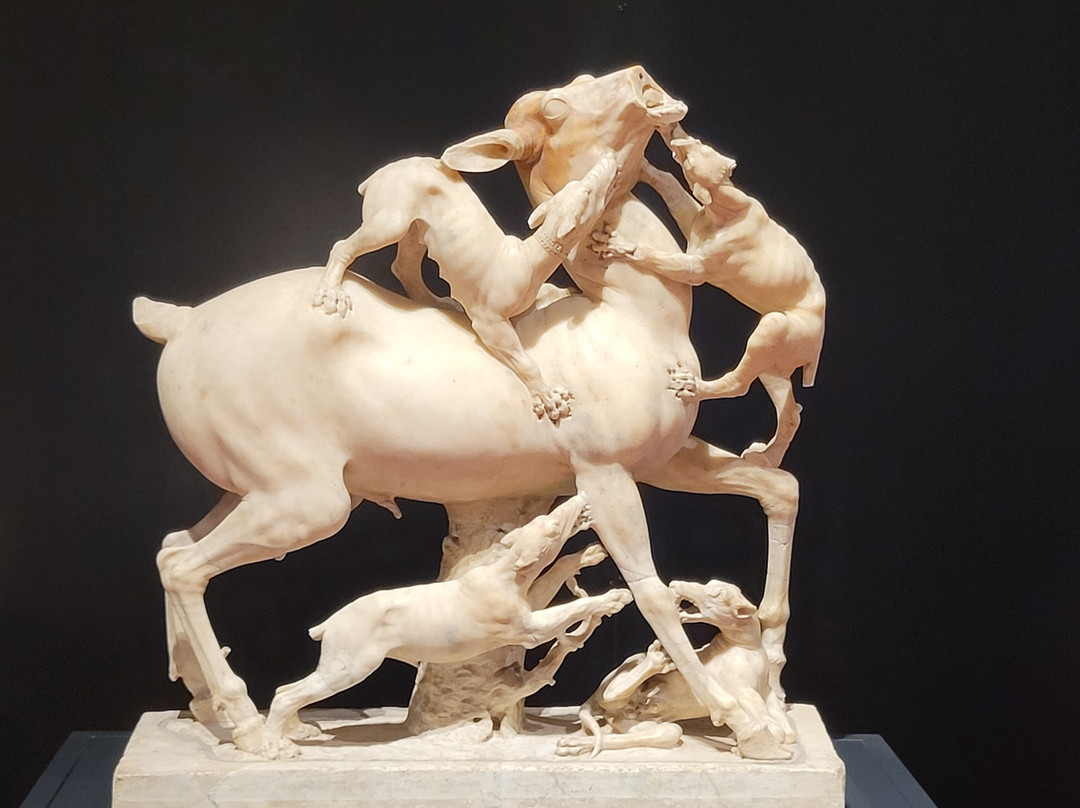 Hotel Grillo Verde主图