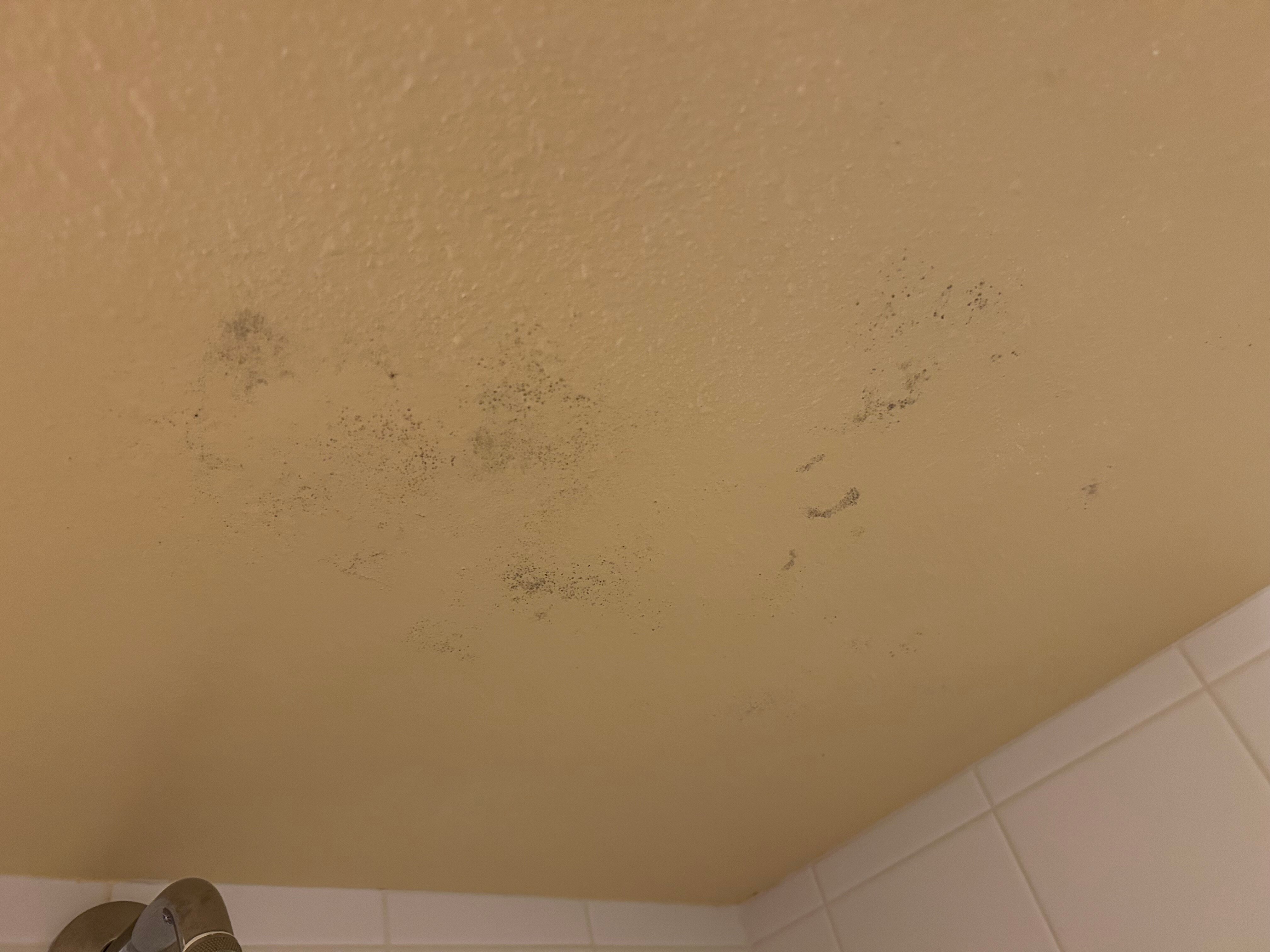 高山豪斯旅馆-浴室