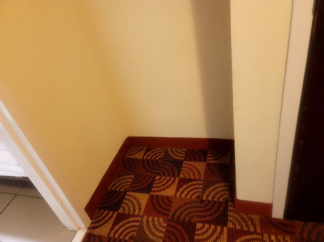 Comfort Inn & Suites主图