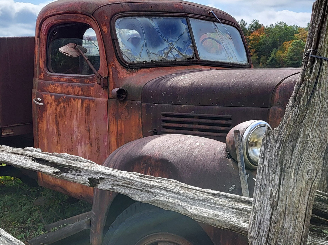 Johnston's Cranberry Marsh & Muskoka Lakes Winery-Bala必去景点