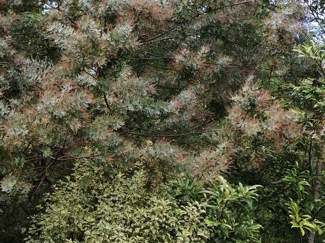 Jardin Des Barthes-Saubrigues必去景点