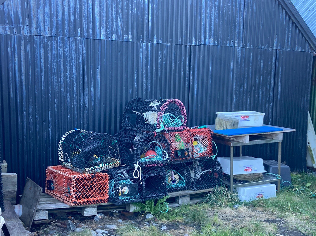 Alnes Lighthouse-奥勒松必去景点