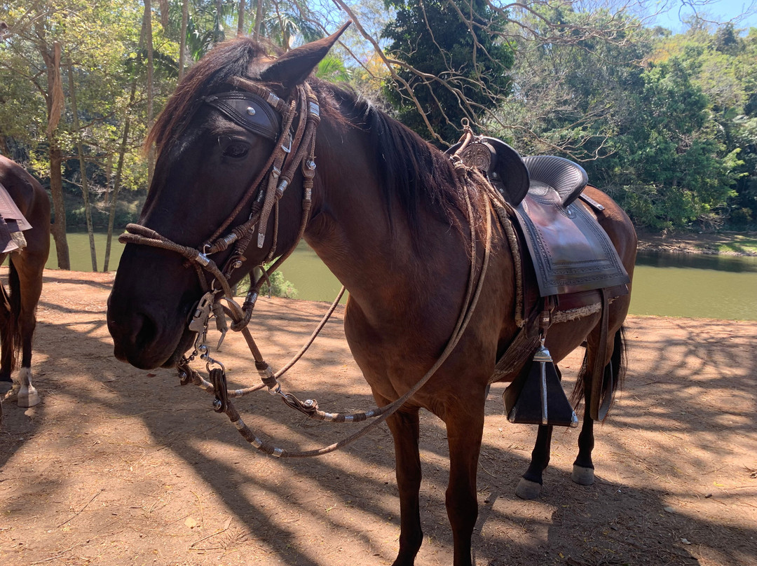 Historic Rivermill-黄金海岸必去景点