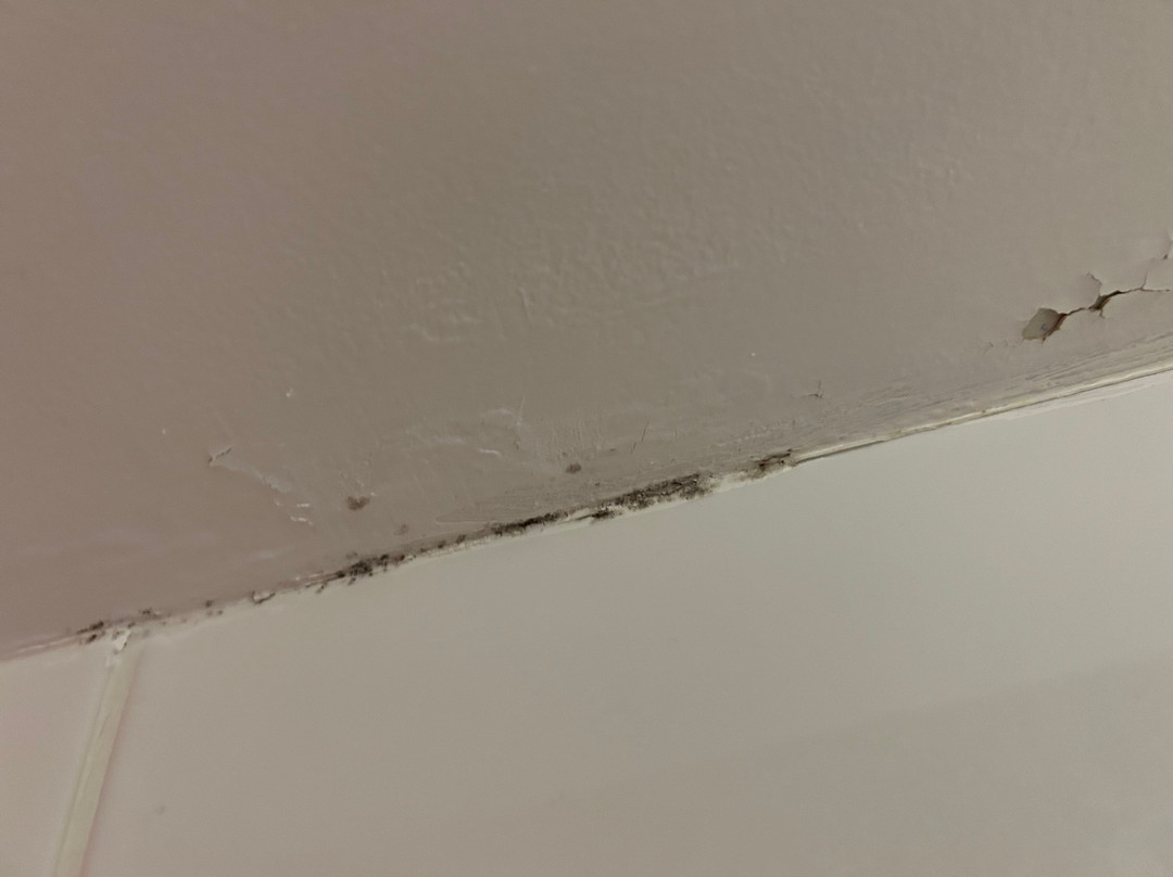 Travelodge Great Yarmouth主图