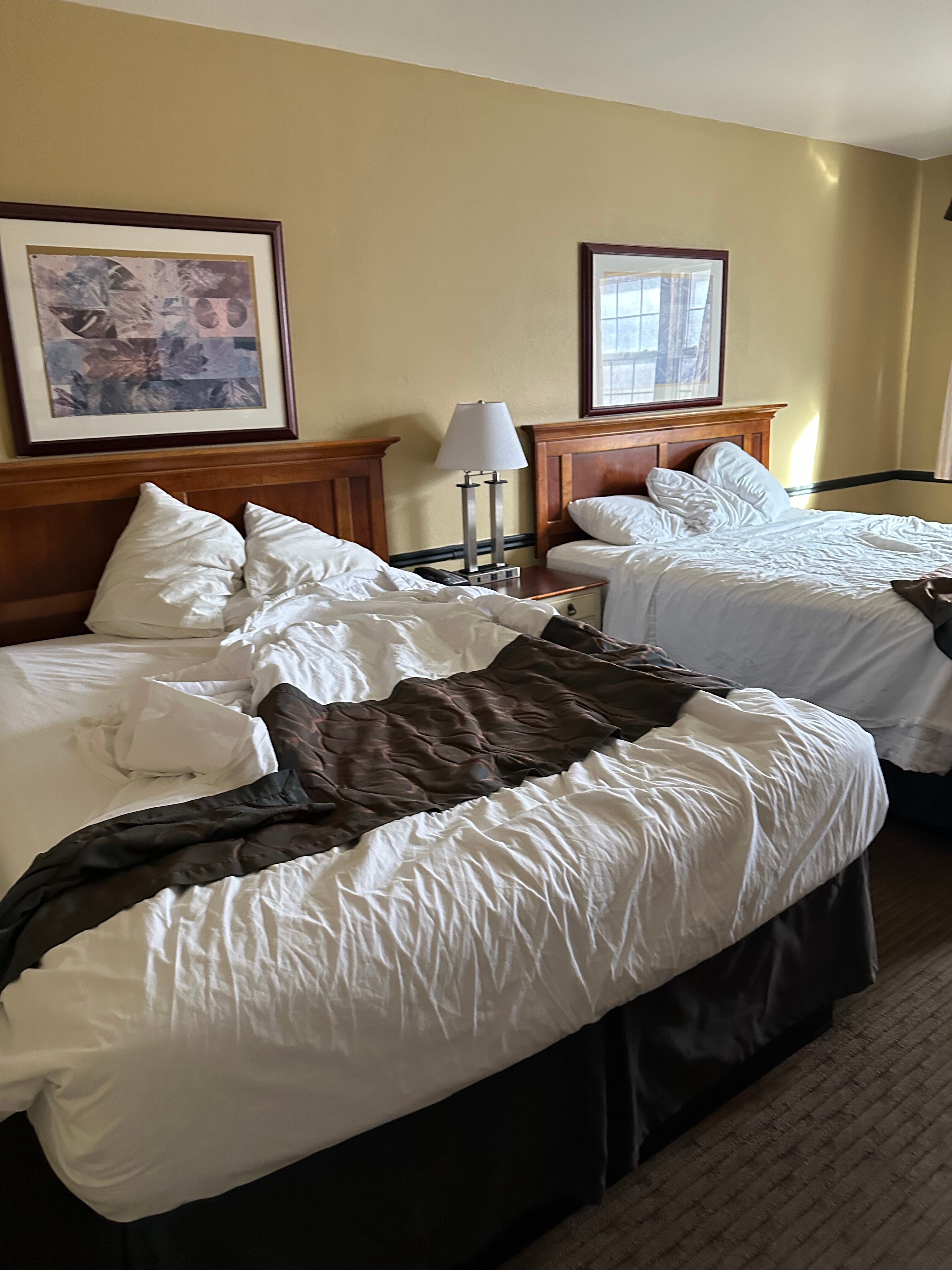 普罗沃万豪酒店及会议中心-官方