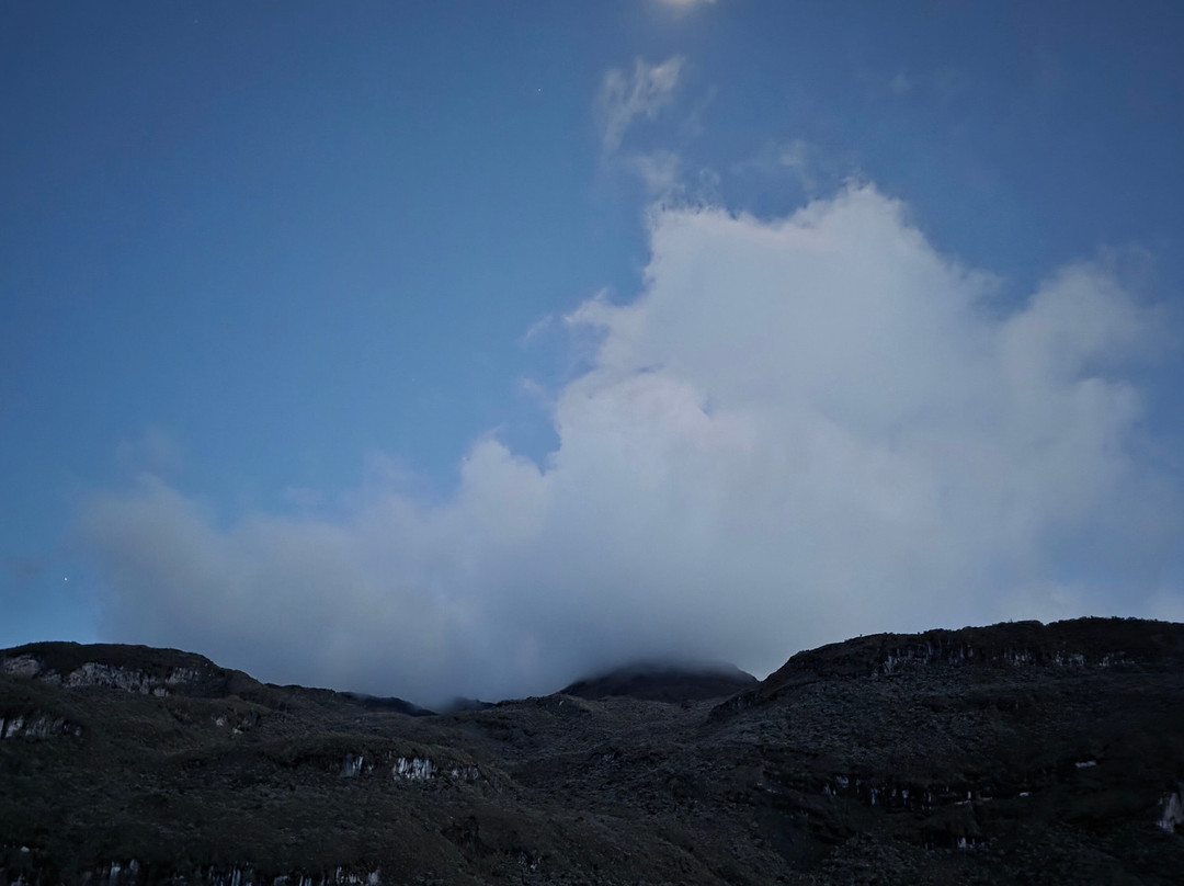 Somos Monos Travel-佩雷拉必去景点