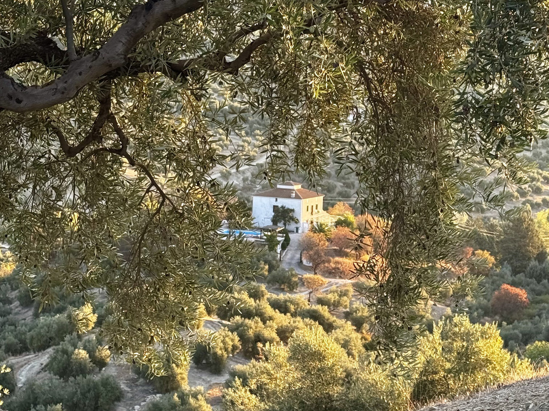 Casa el Castano主图