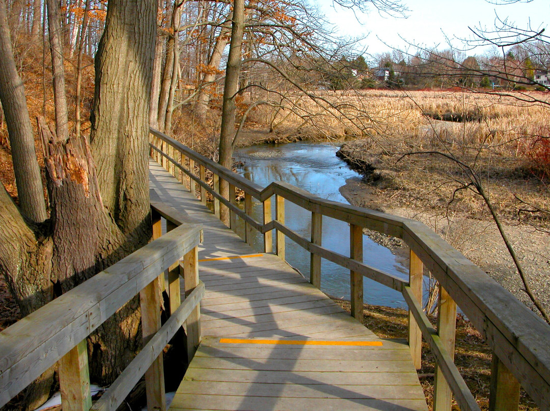 Rattray Marsh Conservation Area-米西索加必去景点