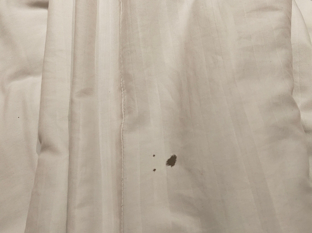 Hotel Grand Canyon主图